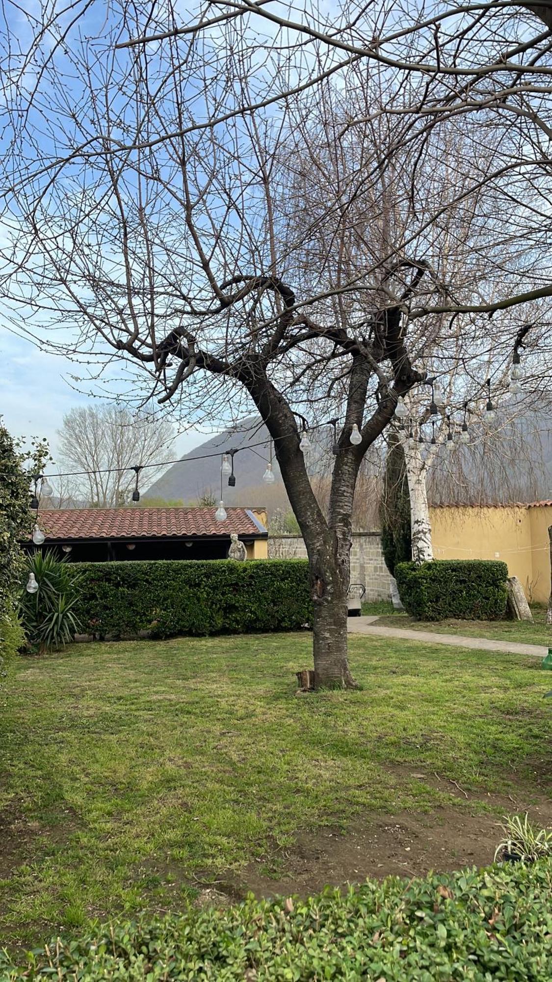 Fox Apartment Cervinara Rotondi Exterior photo